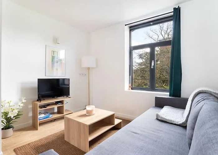 Lille - Bel Appartement Cosy Et Lumineux